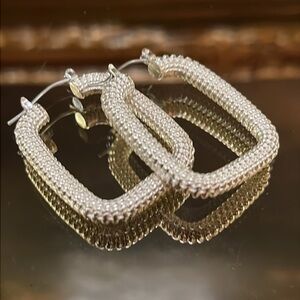 Silver Hoop Earrings